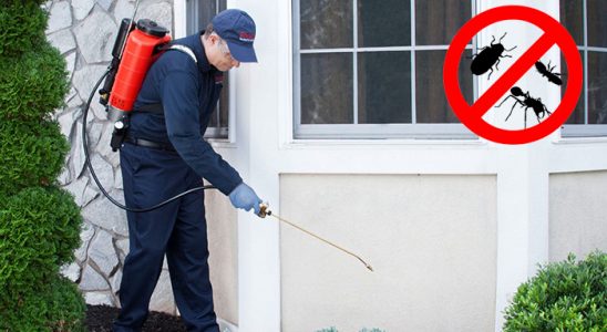 Akçadağ Karınca İlaçlama böcek ilaçlama ve haşere kontrolü — ilaclama-tr.com